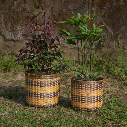 Bamboo Paper Bin -Set of 2