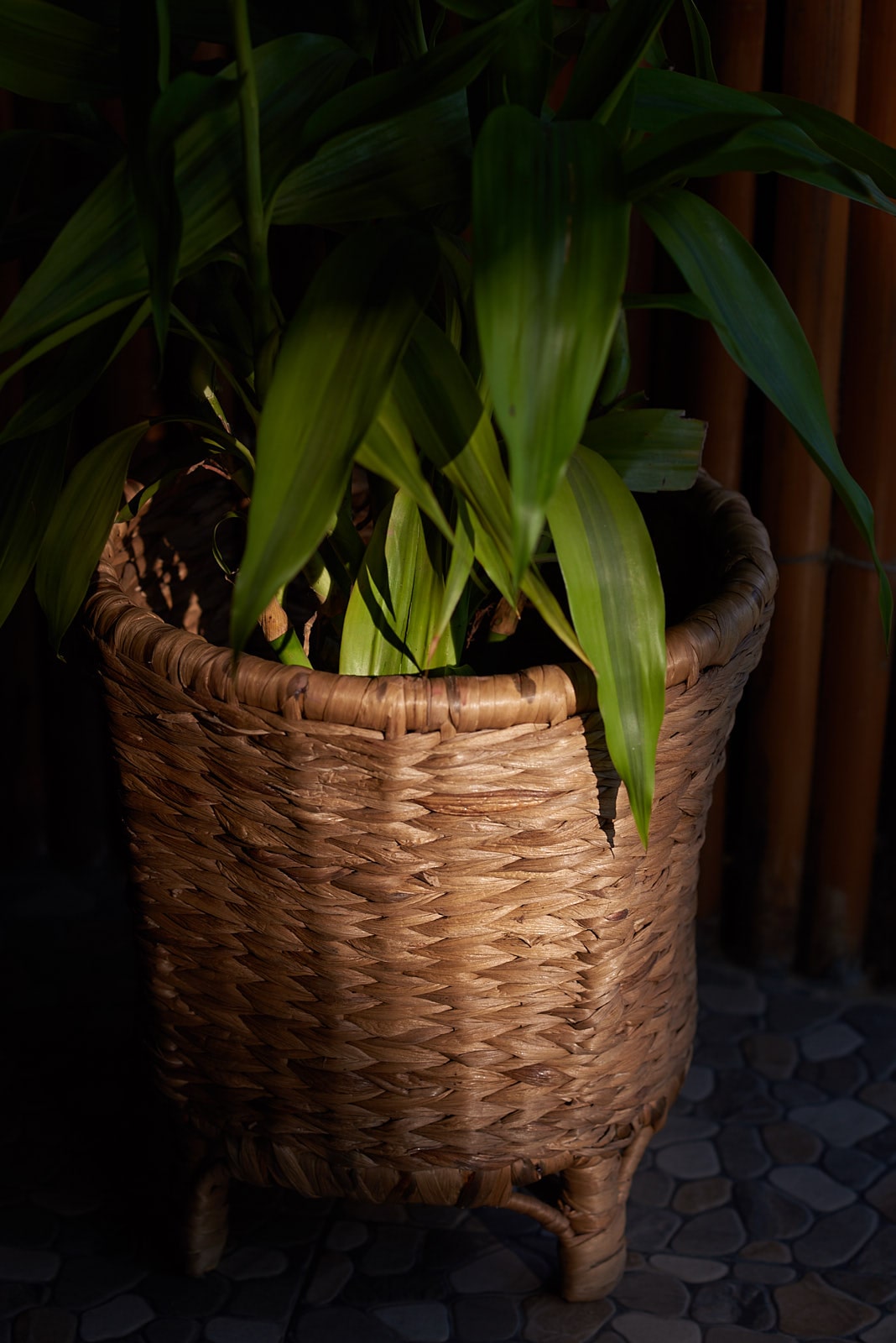 Planter - Water Hyacinth and Cane